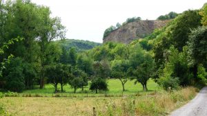 „Abenteuer Erde: Urwald von morgen – Nationalpark Eifel“ im WDR