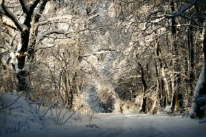 Skifahren und Rodeln in der Eifel