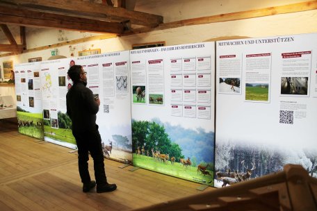 Johannistag im Nationalpark-Zentrum Eifel