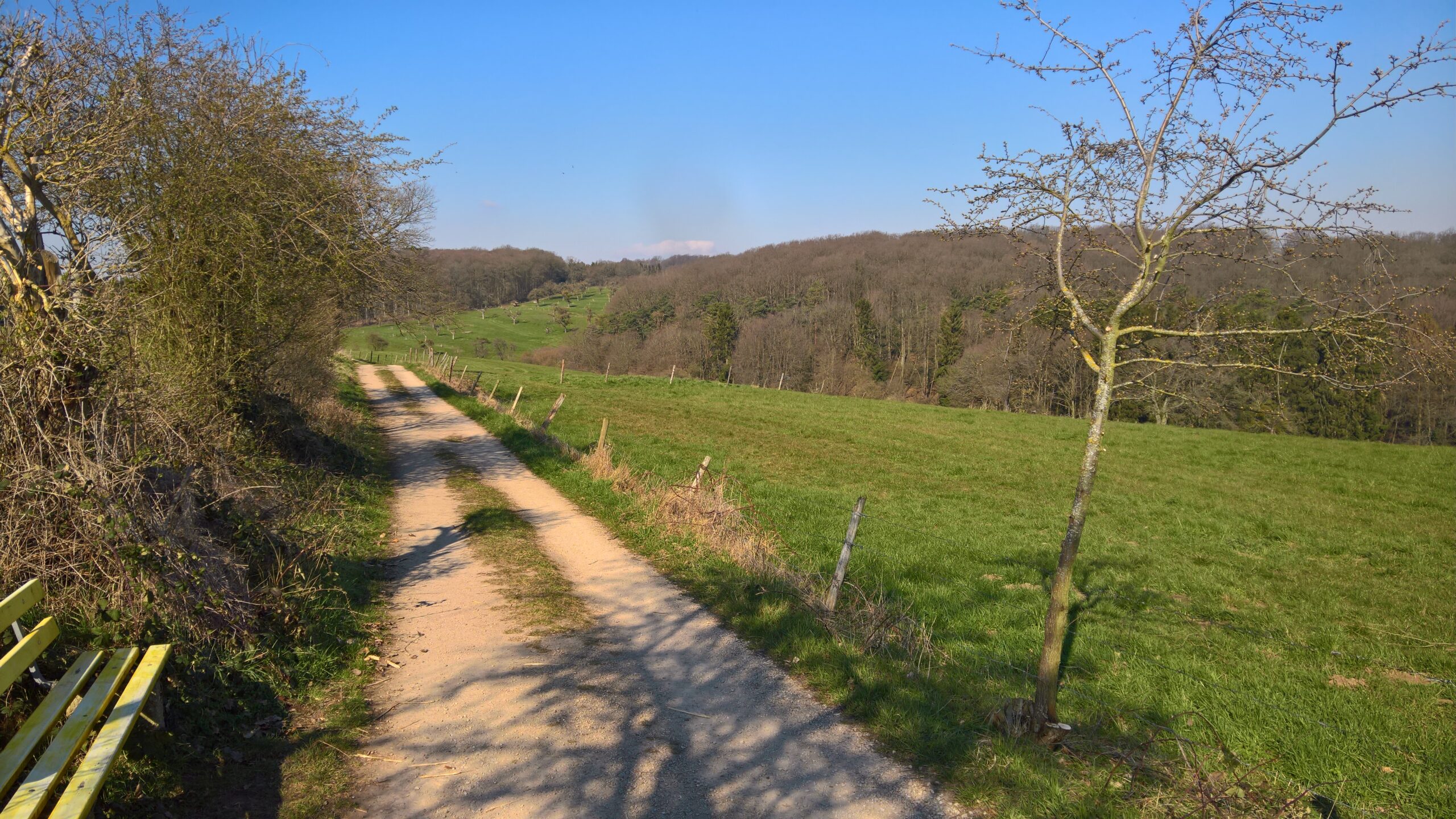 Rund um den Hirnberg